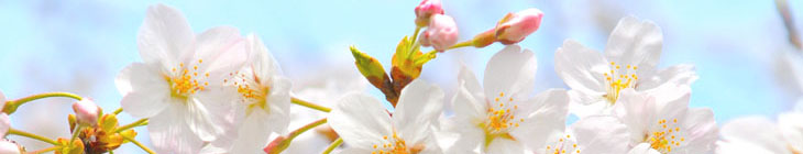 江戸川橋さくらクリニック　内科　消化器内科